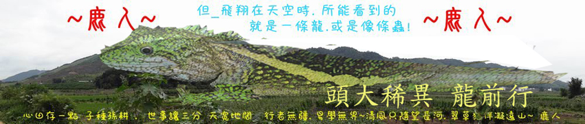 頭大稀異 龍前行.jpg
